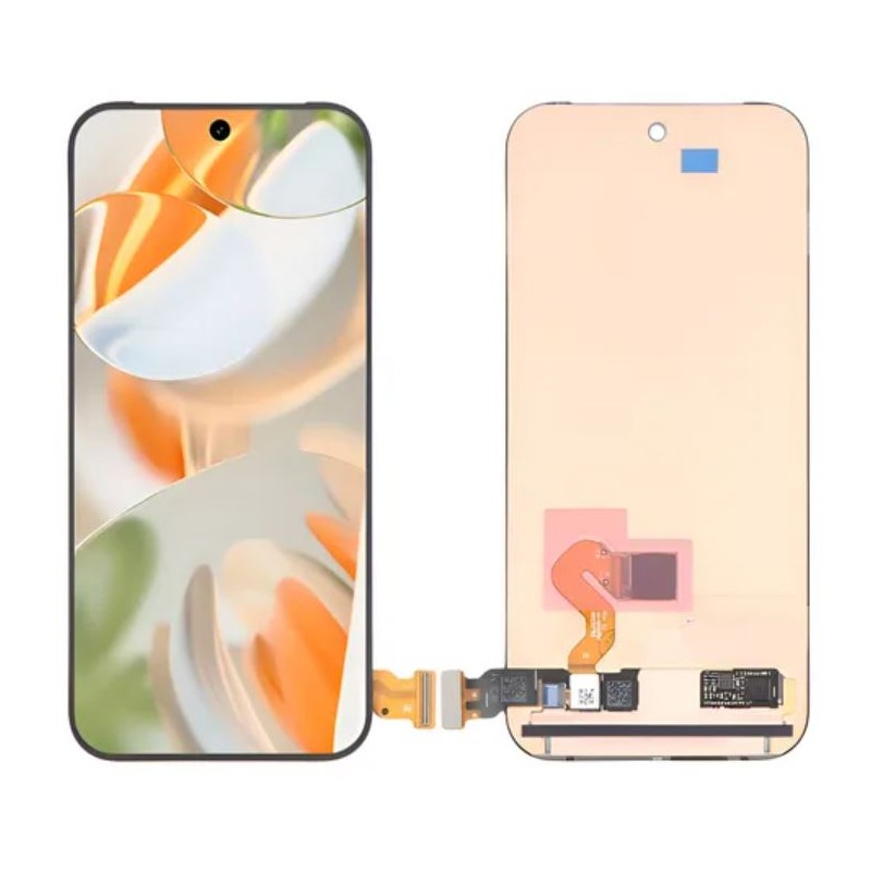 Display google pixel 9 original