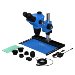Microscopio forward...